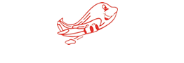 Martin Cargo & Cía Ltda
